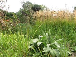 Great Dixter